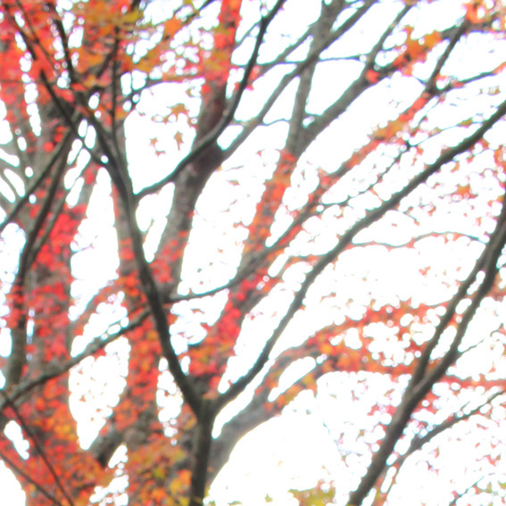 a0329820_13215550.jpg