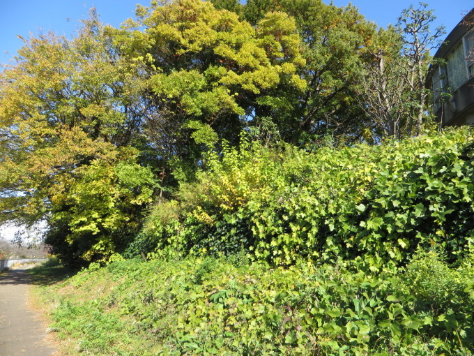 e0109622_19324486.jpg