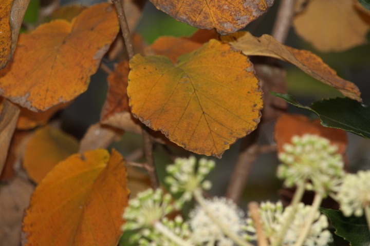 f0354923_20100868.jpg