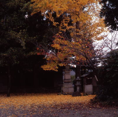b0199226_12391191.jpg