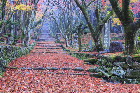 2017　滋賀弾丸紅葉巡りR-鶏足寺_c0201929_17301410.jpg