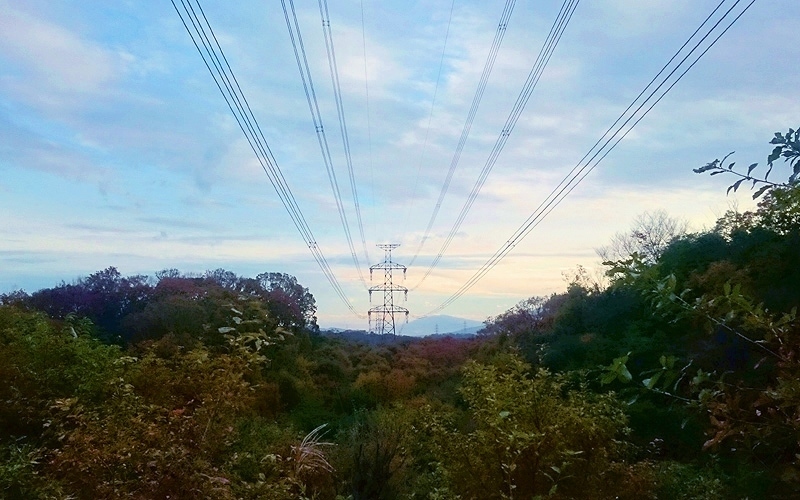 d0367529_23413550.jpg