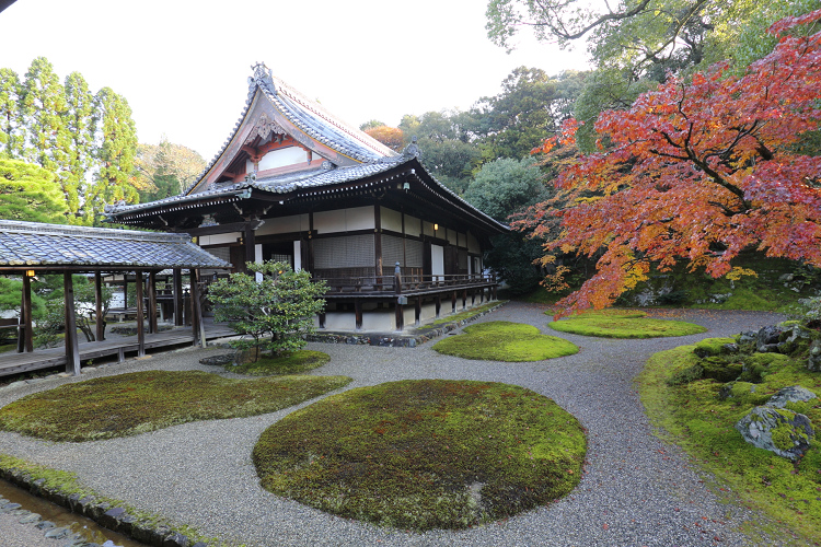 紅葉の醍醐 醍醐寺 三宝院 後編 memory of kyotolife 紅葉の醍醐 醍醐寺 三宝院 後編 memory of kyotolife