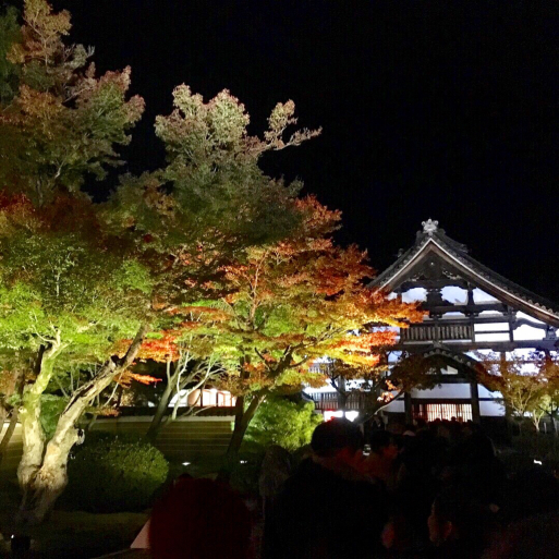 c0223630_17174268.jpg