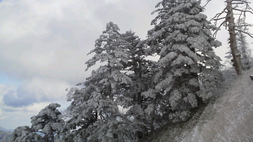 c0089831_52543.jpg