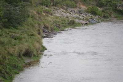 a0124132_08011503.jpg