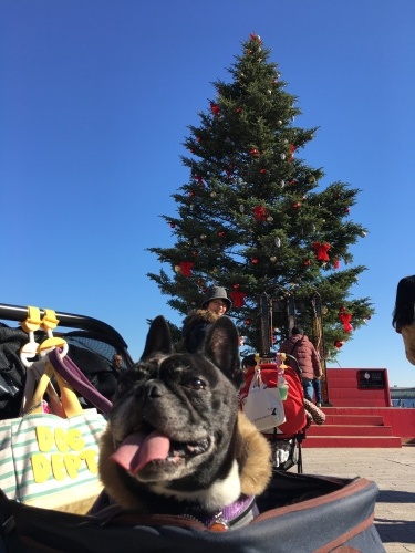 b0113232_14080622.jpeg
