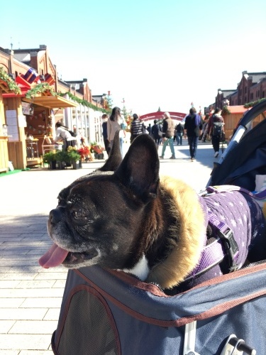 b0113232_14104334.jpeg