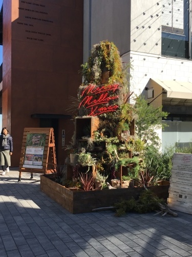 b0113232_14110571.jpeg