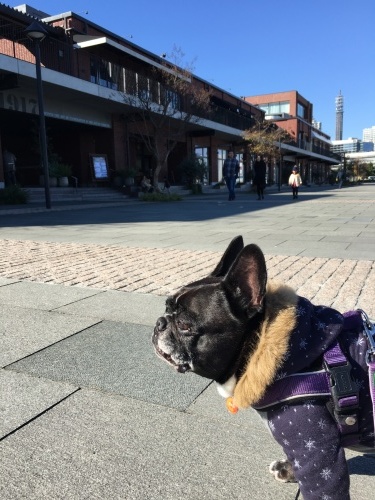b0113232_14112661.jpeg