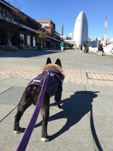 b0113232_14114336.jpeg