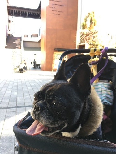 b0113232_14123257.jpeg