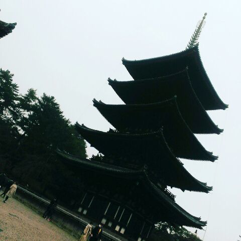 c0367433_15434764.jpg