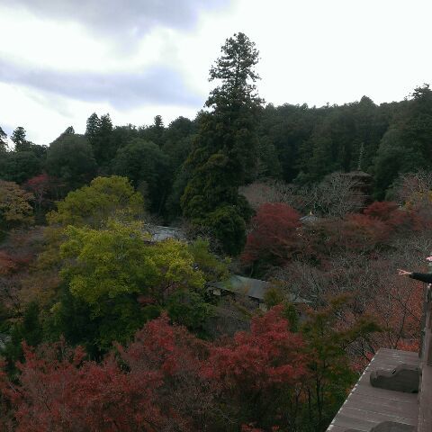 c0367433_16035676.jpg