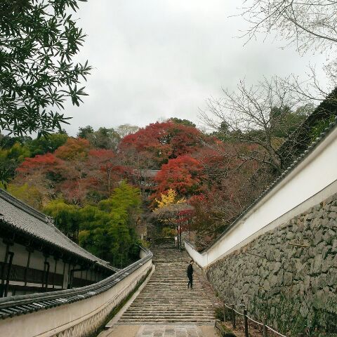 c0367433_16045181.jpg