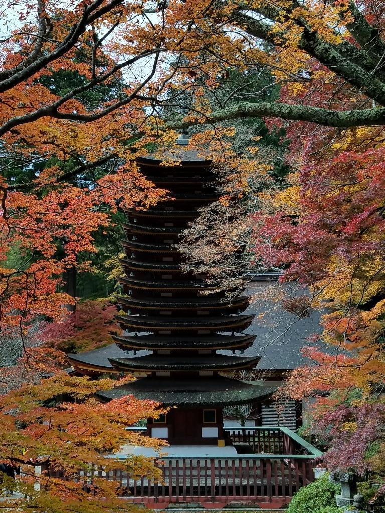 談山神社_f0330437_22493600.jpg