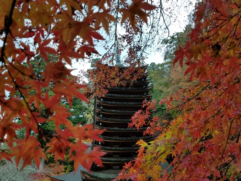 談山神社_f0330437_22493719.jpg