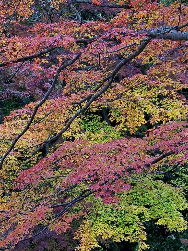 談山神社_f0330437_22494099.jpg