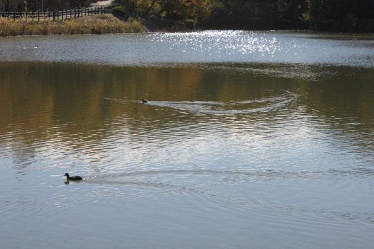 d0362242_08132571.jpg