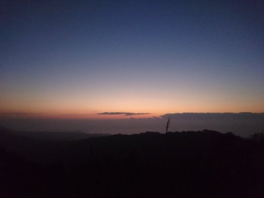 d0035444_147336.jpg