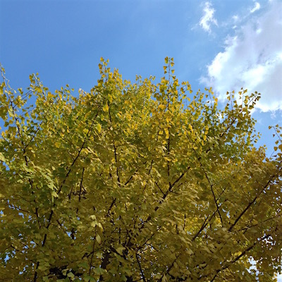 c0227245_18290637.jpg