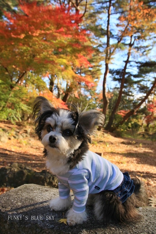 c0145250_09160260.jpg