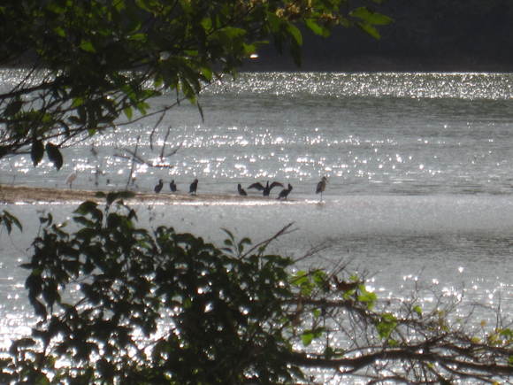 b0243152_8385128.jpg