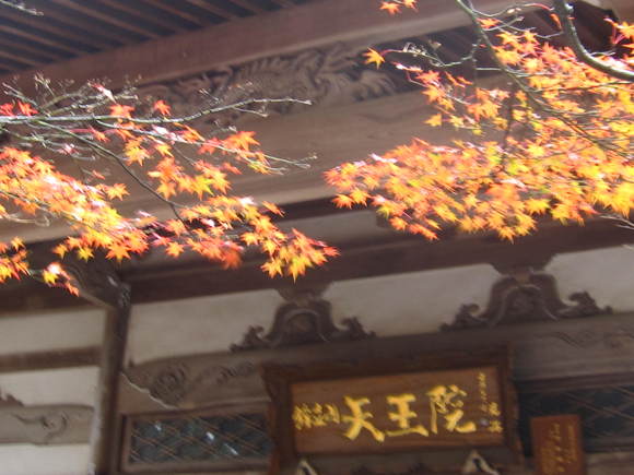 b0243152_83866.jpg