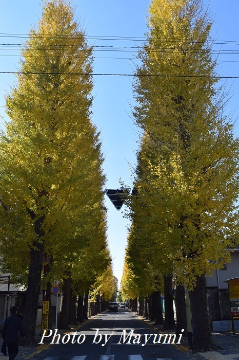 c0206352_19273076.jpg