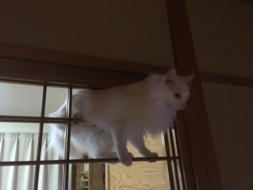 a0152454_07305152.jpeg