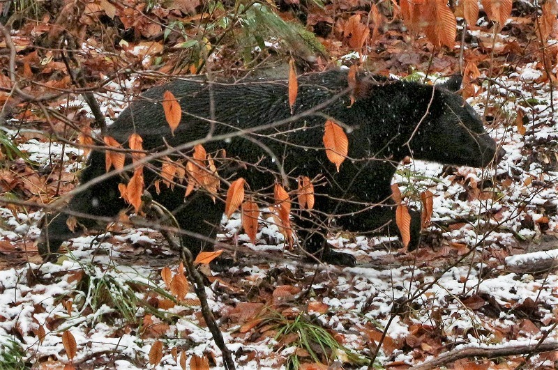 c0294658_18160392.jpg
