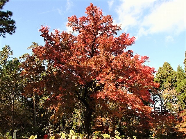 b0044663_00545304.jpg