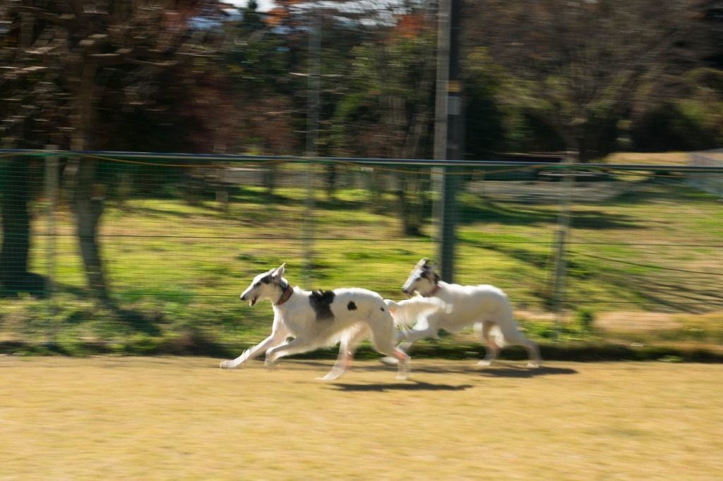 反省会開きます、、、！_c0260264_16271226.jpg