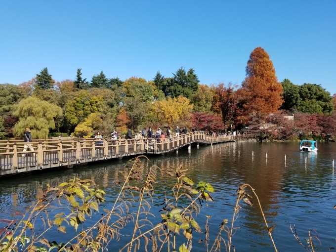 吉祥寺  井の頭公園_c0115366_22300397.jpg