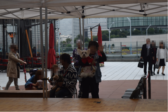 b0242873_22190323.png