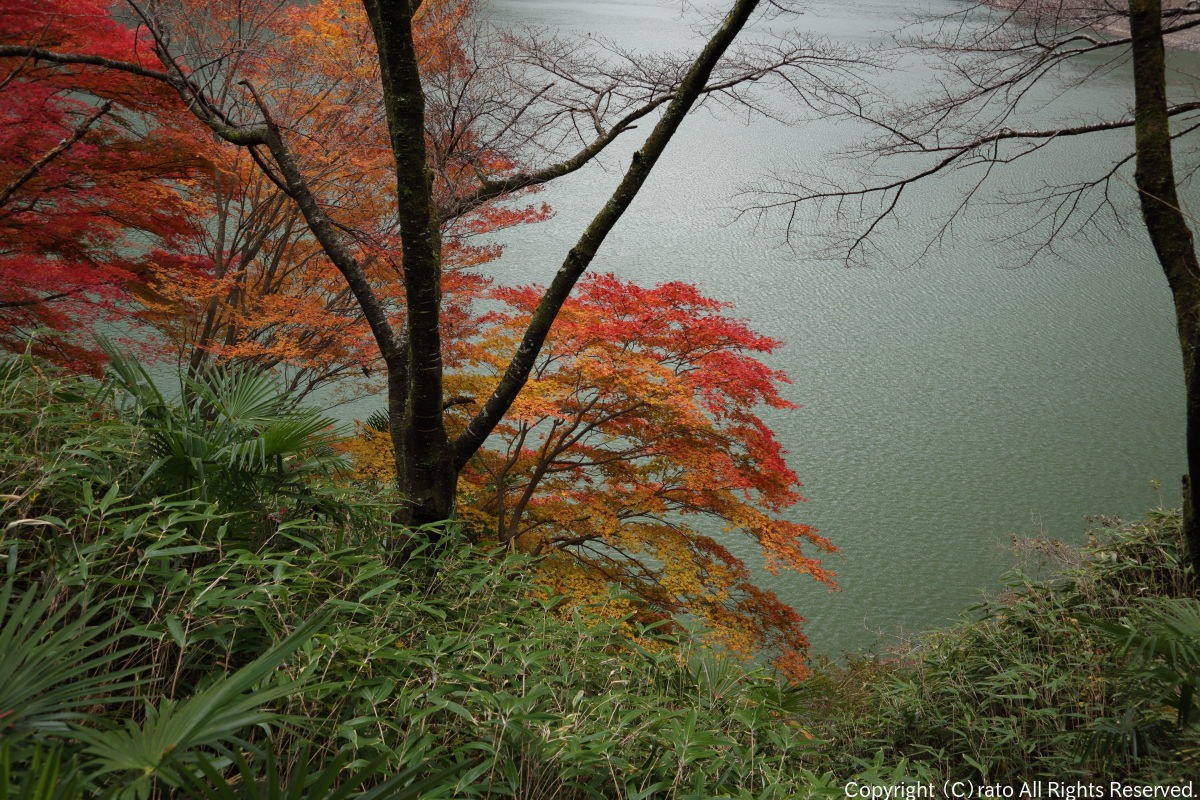 f0236776_22050636.jpg