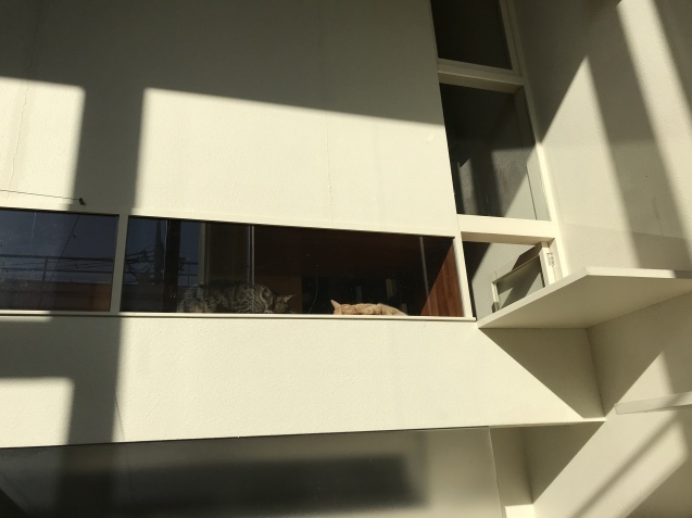 a0130778_13595467.jpeg