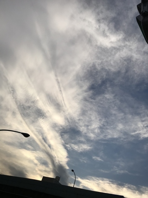 a0130778_17264282.jpeg