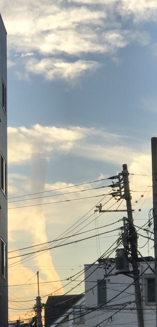 a0130778_17272586.jpeg
