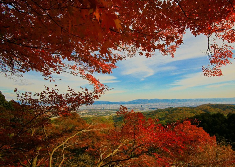 紅葉　善峯寺_a0105680_15591104.jpg