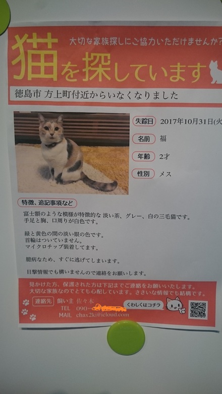探してます_f0172281_7251241.jpg