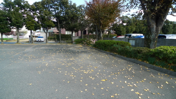 c0212083_19130940.jpg