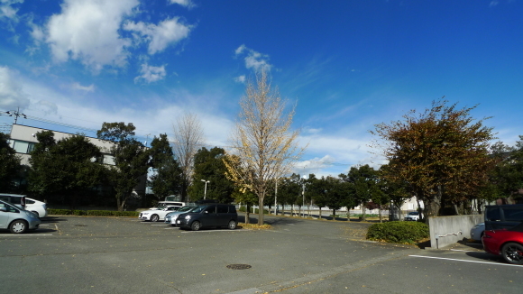 c0212083_19135145.jpg