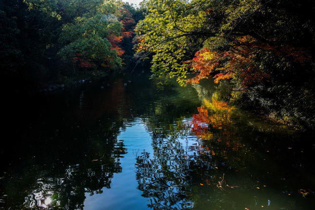 ★秋の「栗林公園」　第２弾_e0291683_08343670.jpg