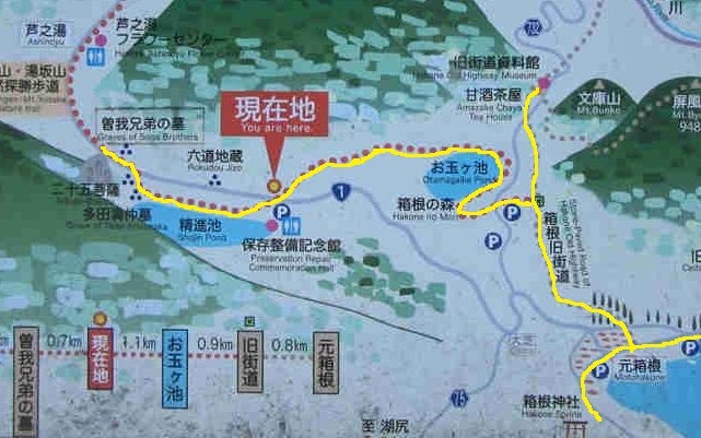 鎌倉古道 In 箱根 某日某月 鎌倉古道 In 箱根 某日某月