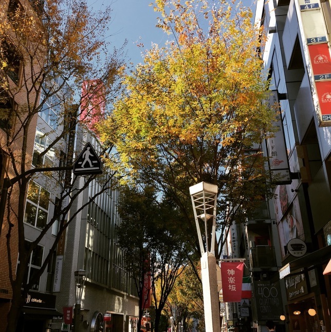 a0129492_23240142.jpeg