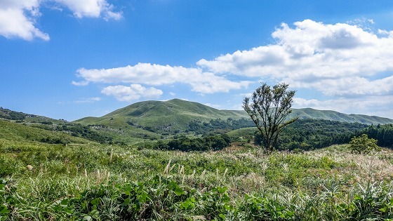 e0176993_09033128.jpg