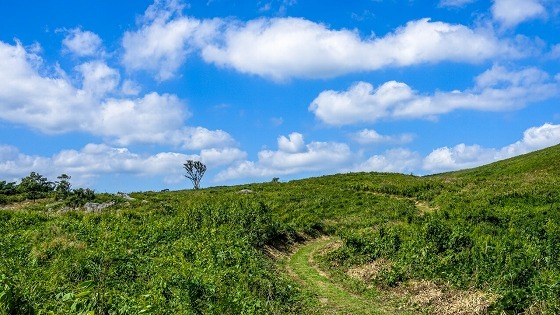e0176993_09033176.jpg