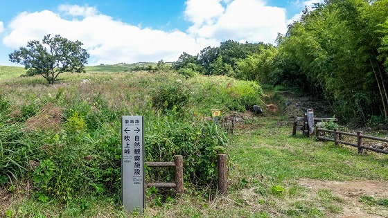 e0176993_09033177.jpg
