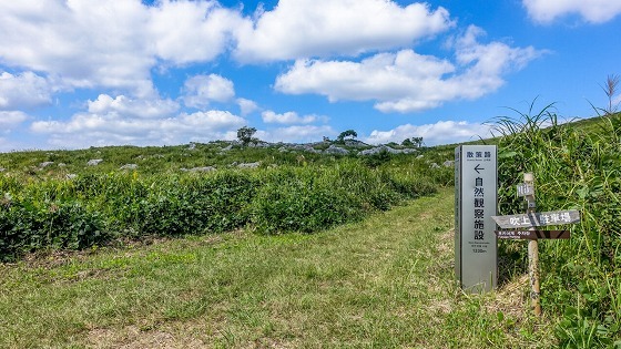 e0176993_09033199.jpg
